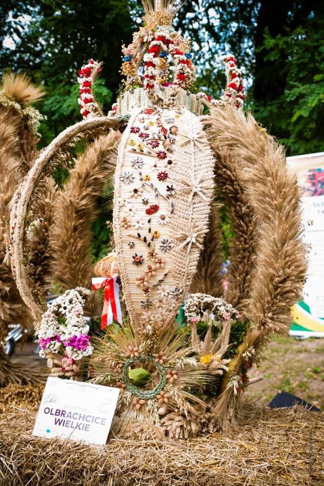  Święto Plonów Gminy Ząbkowice Śląskie w Braszowicach