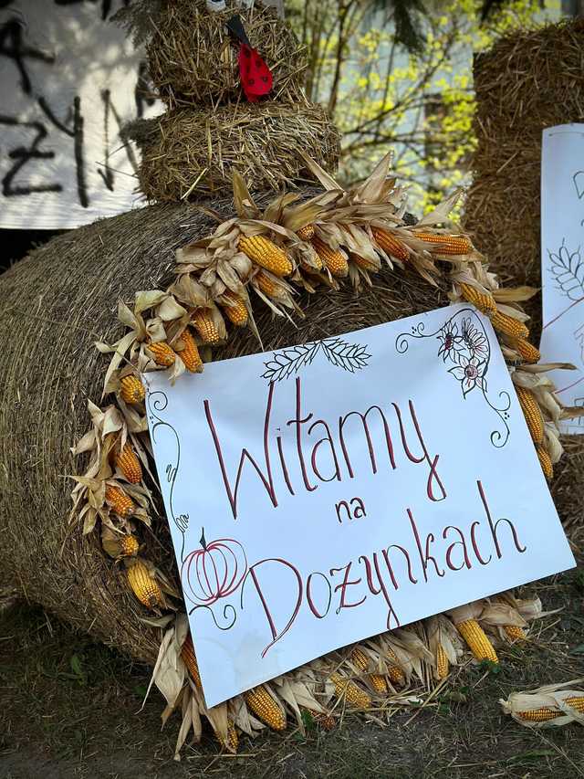 [FOTO] Tak zakończenie źniw i zbiory plonów świętowały sołectwa Gminy Ziębice
