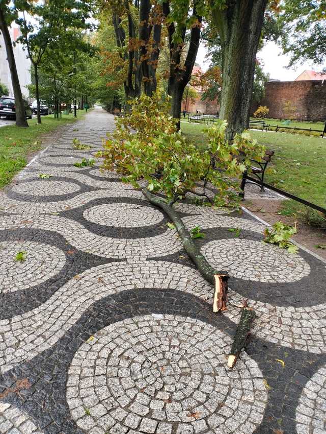 Burmistrz wprowadził alarm przeciwpowodziowy na terenie Gminy Ząbkowice Śląskie. Aktualna sytuacja jest trudna