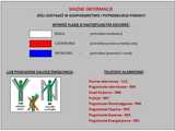 powódz Kamieniec zabkowicki