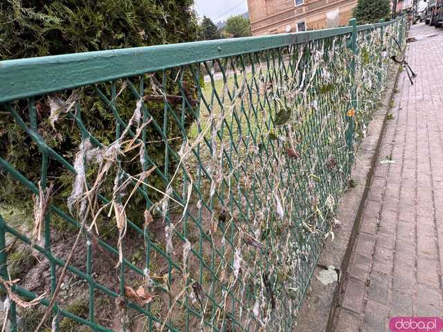 [FOTO] Bardo po powodzi: wielu mieszkańców straciło dobytek życia, jakie wsparcie jest teraz najważniejsze dla poszkodowanych?
