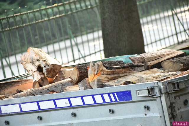 [FOTO, WIDEO] Łącząc siły dla powodzian, czyli akcja pomocowa Myśliwi Razem w Kamieńcu Ząbkowickim