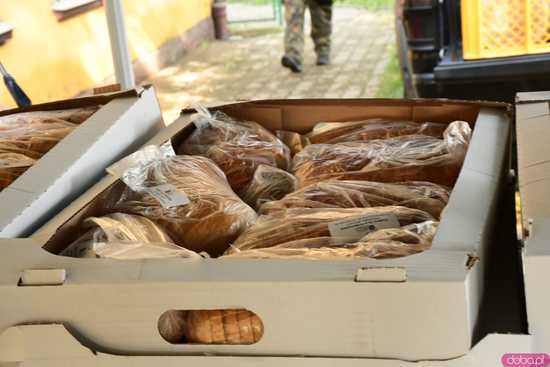 [FOTO, WIDEO] Łącząc siły dla powodzian, czyli akcja pomocowa Myśliwi Razem w Kamieńcu Ząbkowickim