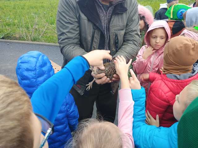 [FOTO] Uczniowie Szkoły Podstawowej im. Adama Mickiewicza w Ciepłowodach wypuścili na wolność kuropatwy 