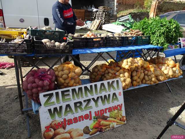 [FOTO, WIDEO] Regionalne smaki i tradycje w jednym miejscu: Październikowa edycja Targu Zdrowej Żywności w Lutomierzu