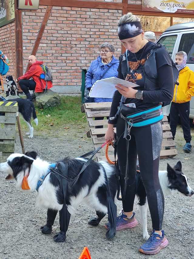 [FOTO] 230 zawodników, setki łap – podsumowanie finałowego biegu Pucharu Polski w Dogtrekkingu