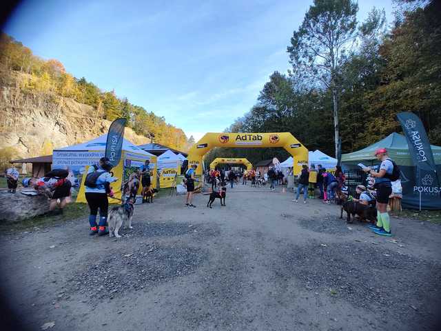 [FOTO] 230 zawodników, setki łap – podsumowanie finałowego biegu Pucharu Polski w Dogtrekkingu