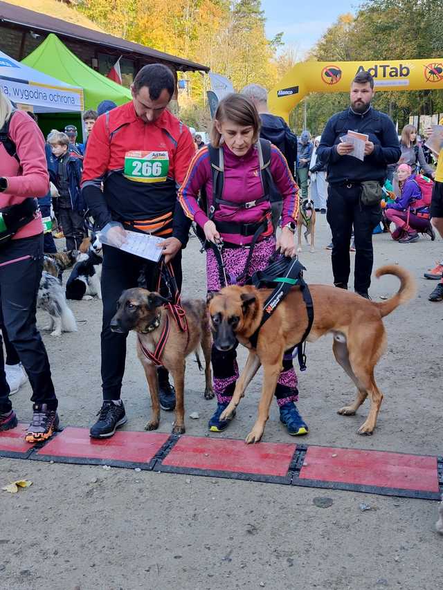 [FOTO] 230 zawodników, setki łap – podsumowanie finałowego biegu Pucharu Polski w Dogtrekkingu