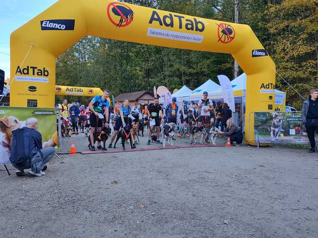 [FOTO] 230 zawodników, setki łap – podsumowanie finałowego biegu Pucharu Polski w Dogtrekkingu