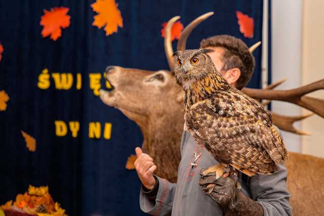 [FOTO] Dyniowy zawrót głowy - jesienne święto w Kamieńcu Ząbkowickim!