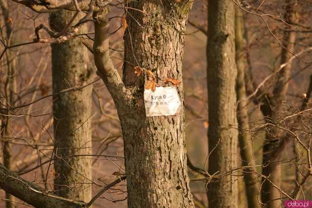 [FOTO] Jesienny krajobraz powiatu ząbkowickiego w obiektywie