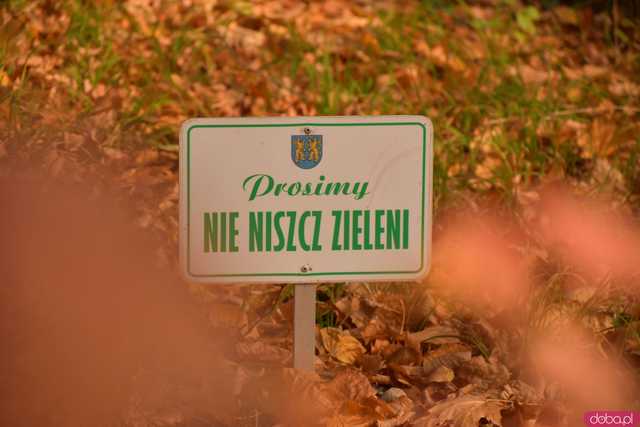 [FOTO] Jesienny krajobraz powiatu ząbkowickiego w obiektywie