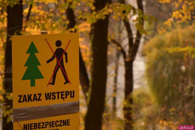 [FOTO] Jesienny krajobraz powiatu ząbkowickiego w obiektywie