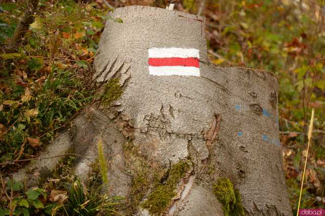 [FOTO] Jesienny krajobraz powiatu ząbkowickiego w obiektywie