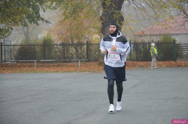 [FOTO, WIDEO] Ząbkowice Śląskie biegną dla Niepodległej – Patriotyzm na sportowo podczas 6. Biegu Niepodległości