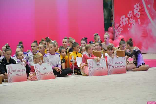 [FOTO, WIDEO] 450 wielkich marzeń: Ogólnopolski Turniej Gimnastyki Artystycznej Princess Cup