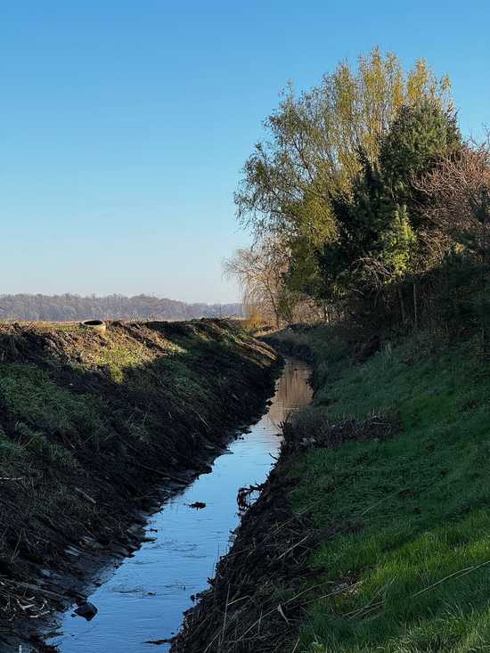[FOTO] Udrożniono cieki wodne w Przyłęku