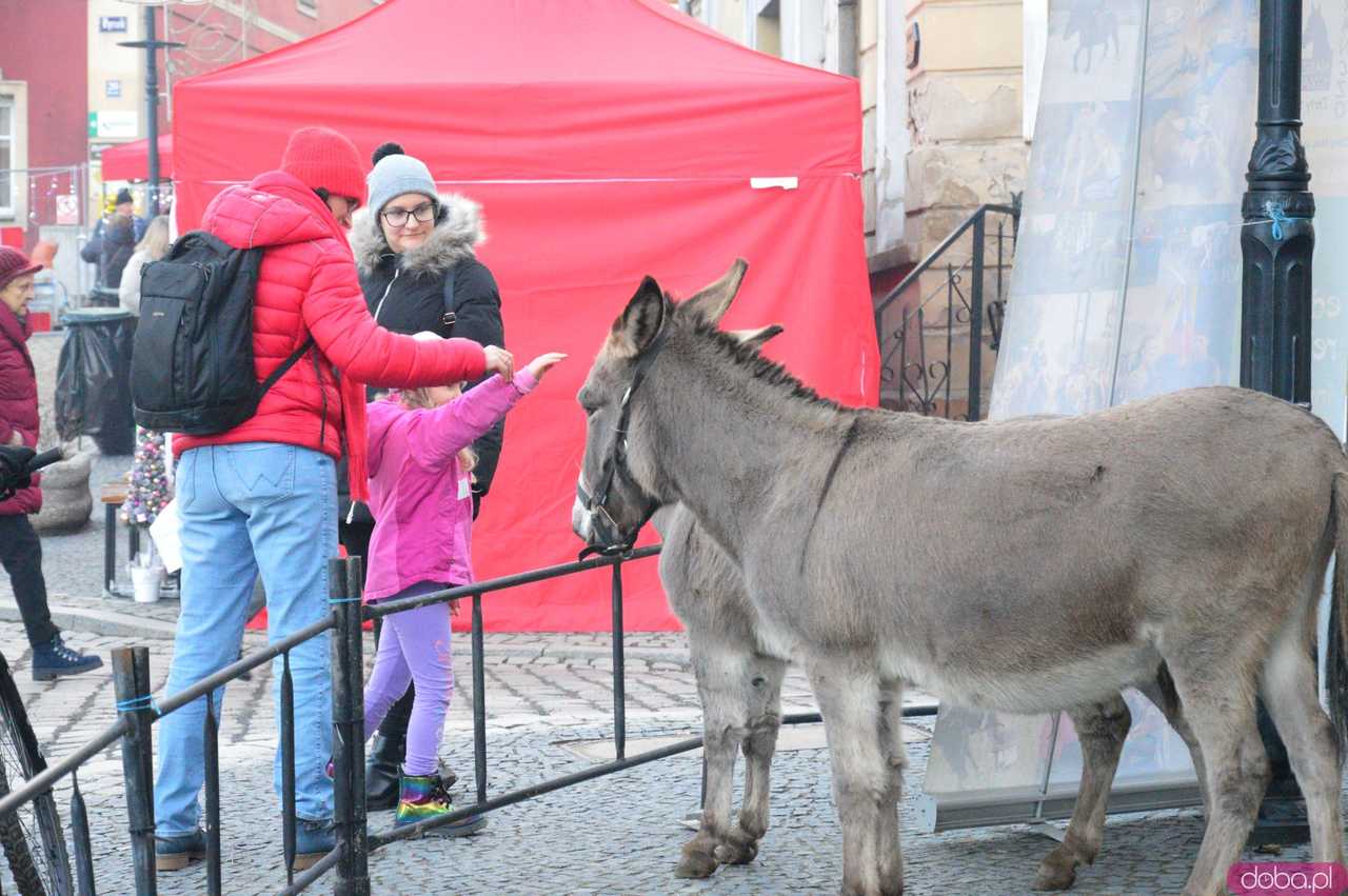 [FOTO,WIDEO] Bożonarodzeniowy Jarmark Górniczych Tradycji w Złotym Stoku
