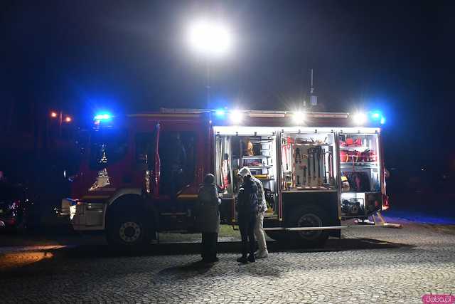 [WIDEO/FOTO] Kamieniec Ząbkowicki zagrał z WOŚP! 33. finał orkiestry na Kamienieckich Błoniach
