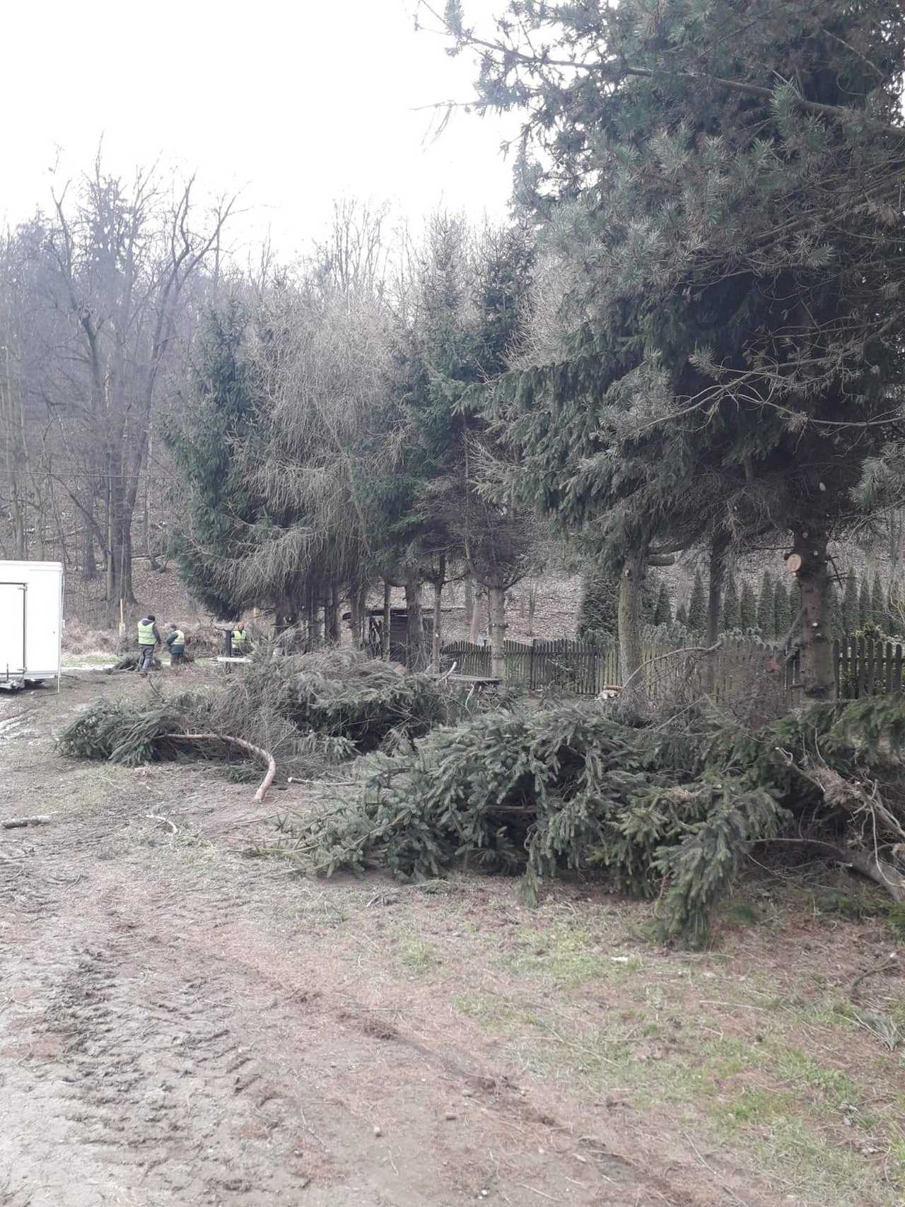 [FOTO] Bardo szykuje się do przyjęcia turystów. Trwa porządkowanie miasta 