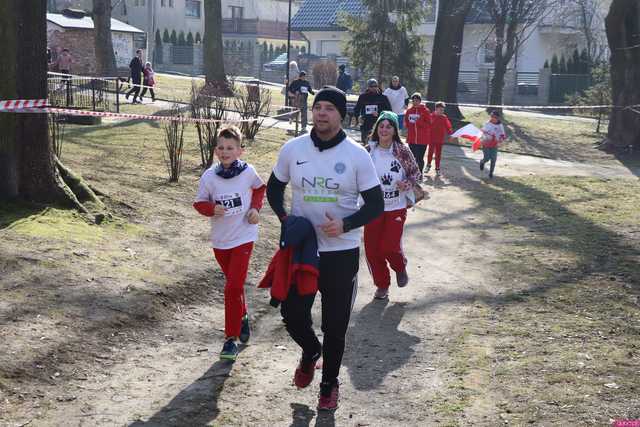 [FOTO] Pobiegli Tropem Wilczym w Ziębicach