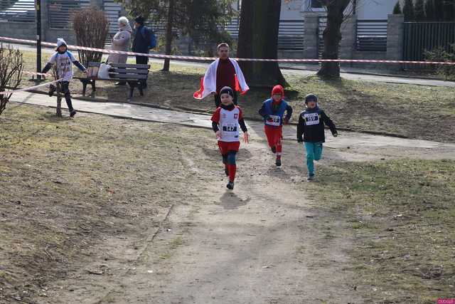 [FOTO] Pobiegli Tropem Wilczym w Ziębicach