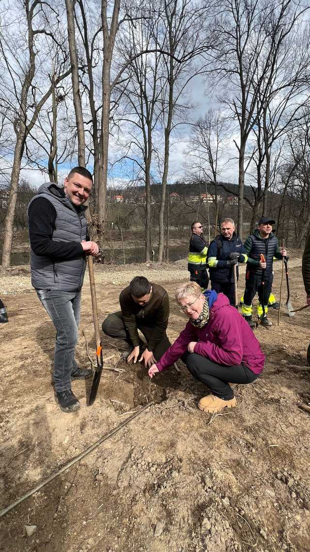 [FOTO] Tysiąc nowych dębów w bardzkich lasach