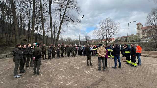 [FOTO] Tysiąc nowych dębów w bardzkich lasach