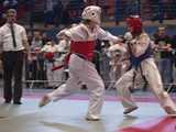 [FOTO] Za nami Mistrzostwa Makroregionu Śląskiego i Dolnośląskiego oraz Międzywojewódzkie Mistrzostwa Młodzików w Karate