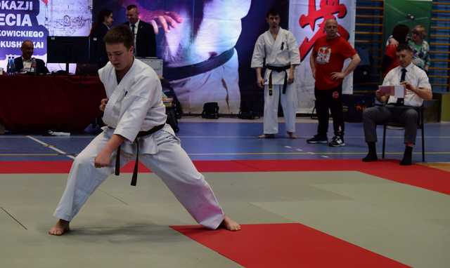 [FOTO] Za nami Mistrzostwa Makroregionu Śląskiego i Dolnośląskiego oraz Międzywojewódzkie Mistrzostwa Młodzików w Karate