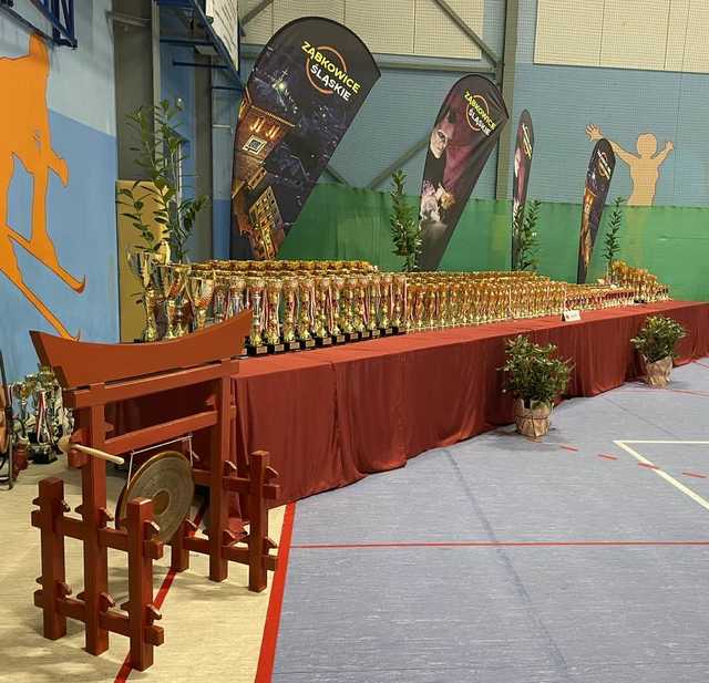 [FOTO] Za nami Mistrzostwa Makroregionu Śląskiego i Dolnośląskiego oraz Międzywojewódzkie Mistrzostwa Młodzików w Karate