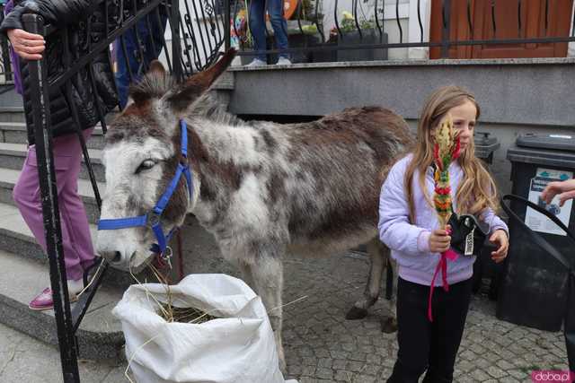 [FOTO] Niedziela Palmowa w Bardzie. Tegoroczny Jarmark pokazał siłę tradycji