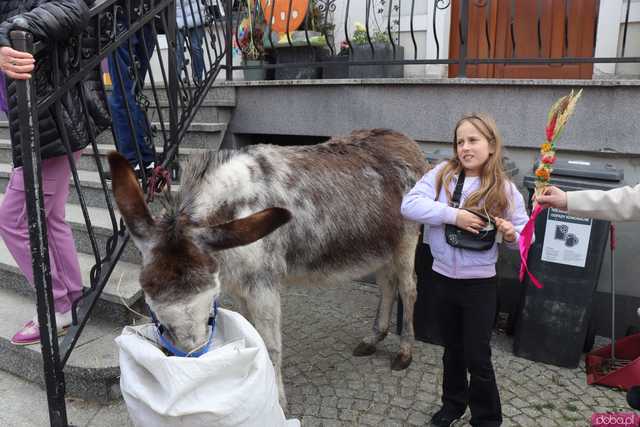 [FOTO] Niedziela Palmowa w Bardzie. Tegoroczny Jarmark pokazał siłę tradycji
