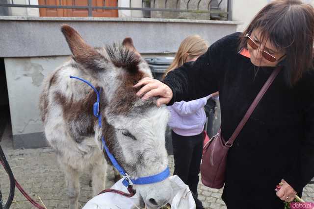 [FOTO] Niedziela Palmowa w Bardzie. Tegoroczny Jarmark pokazał siłę tradycji