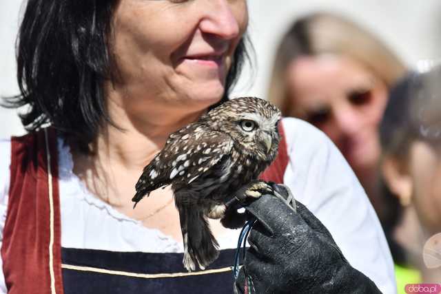 [FOTO, WIDEO] Na tropie przygody w Kamieńcu Ząbkowickim. Prawdziwy Dzień Dziecka