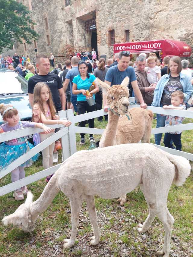 [FOTO] Tak świętowano Dzień Dziecka na plantach zamkowych w Ząbkowicch Śląskich 