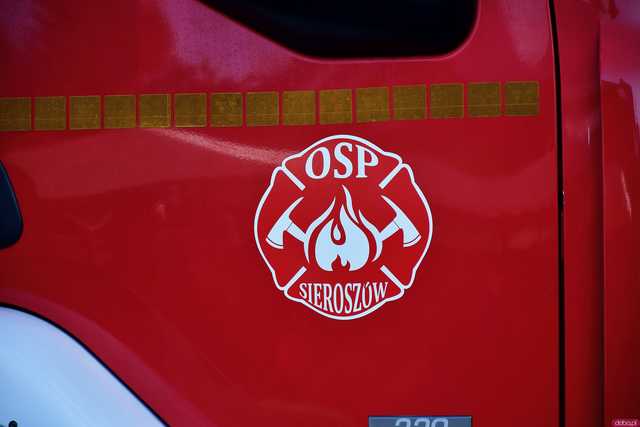 [WIDEO/FOTO] Występy, smaczne jadło i swojski klimat na Festynie Strażackim w Sieroszowie