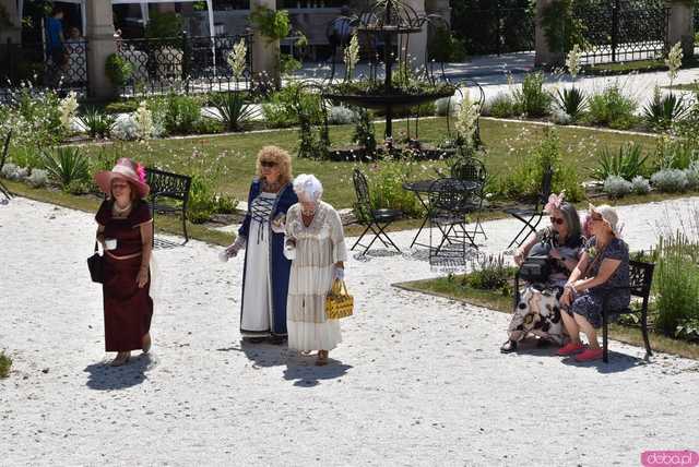 [FOTO, WIDEO] Słodki festiwal w Pałcu Marianny Orańskiej w Kamieńcu Ząbkowickim