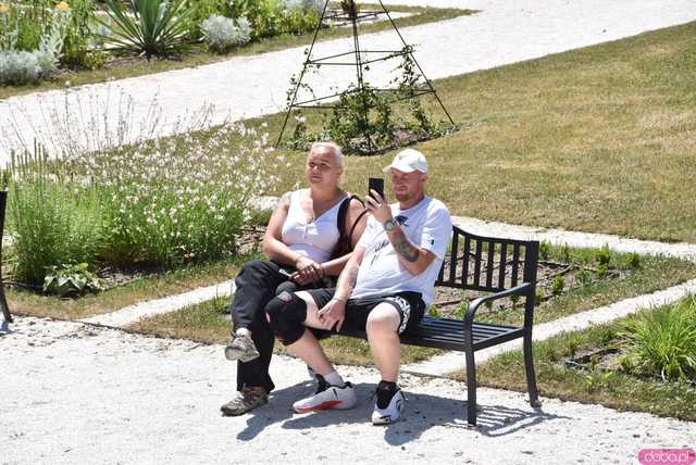 [FOTO, WIDEO] Słodki festiwal w Pałcu Marianny Orańskiej w Kamieńcu Ząbkowickim