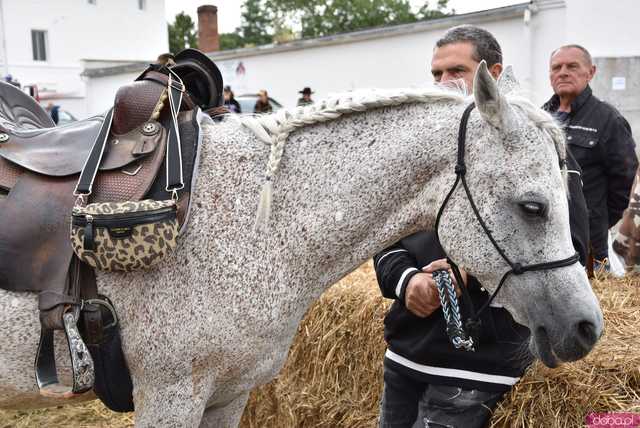 [FOTO] Rodeo w Kamieńcu Ząbkowickim? Tak, to możliwe! Cóż to był za western