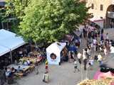 [FOTO, WIDEO] Festiwal Piwa i Sera 
